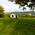 Best grass seed Ohio August options for a thriving lawn