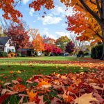 Fall lawn seeding tips Ohio on an autumn yard ready for over-seeding.
