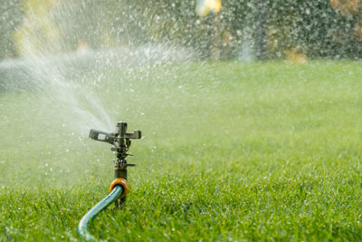 lawn-care-proper-watering