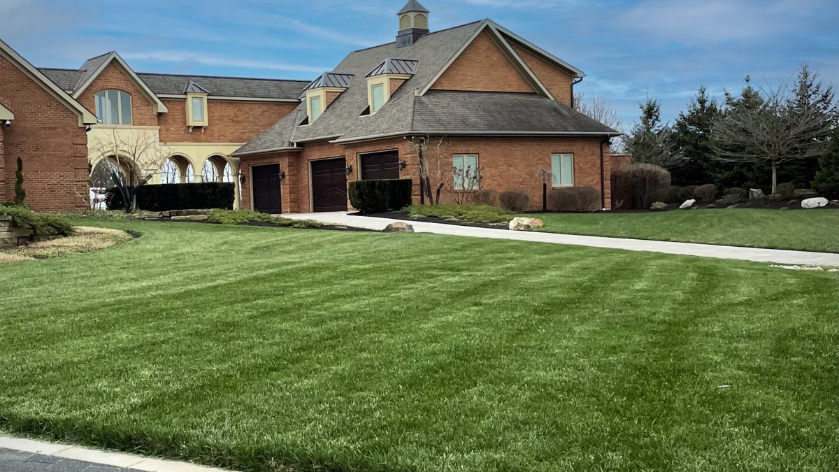 lawn-fertilization-customer-photos