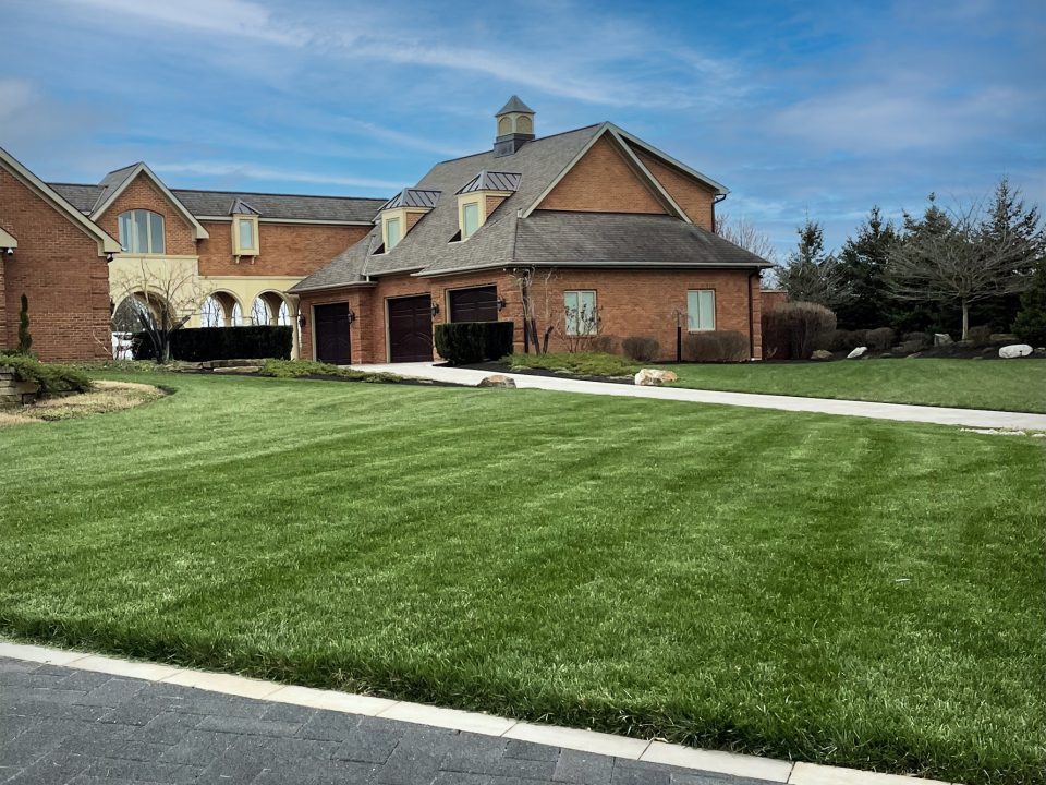 lawn-fertilization-customer-photos